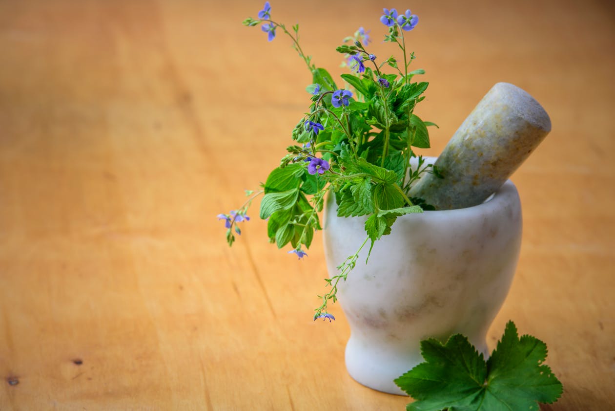 Homeopathic herbs and mortar used in natural remedies at Pandher Homeopathic Clinic